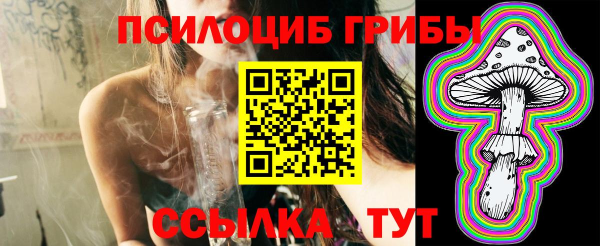 Псилоцибиновые грибы GOLDEN TEACHER Сарапул