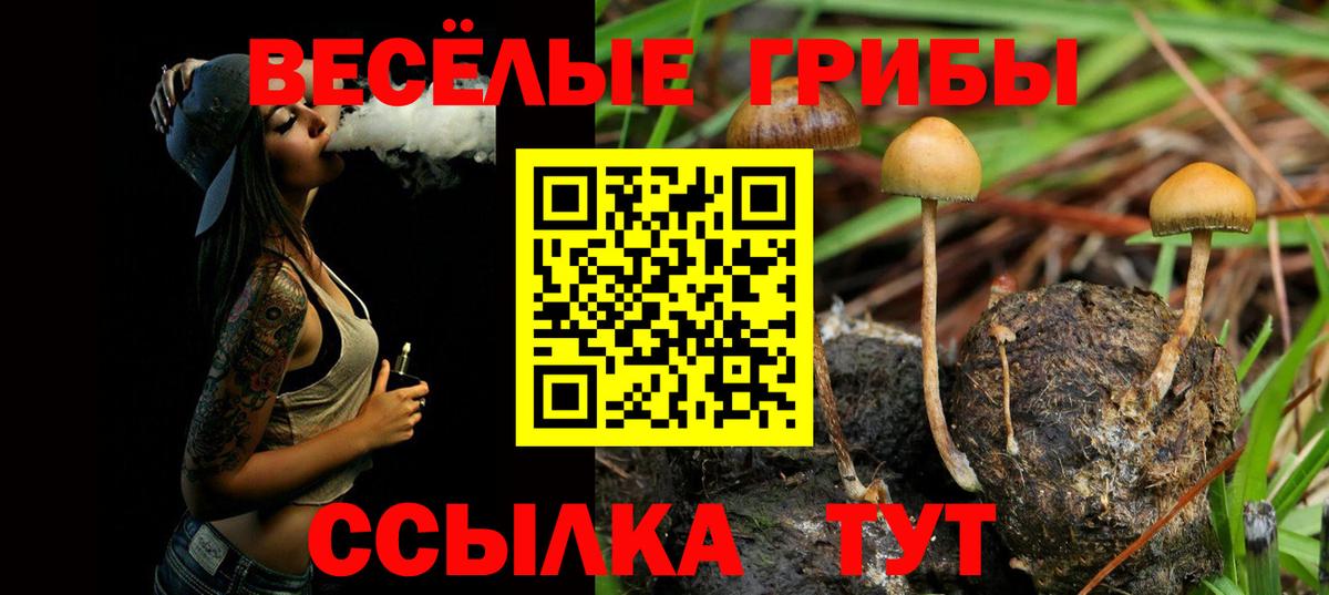 Псилоцибиновые грибы Psilocybine cubensis  Вход с VPN  Псилоцибиновые грибы GOLDEN TEACHER  Сарапул 